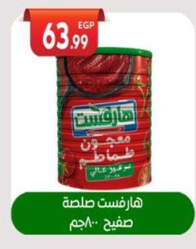 available at El mhallawy Sons in Egypt - Cairo