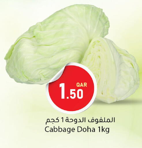 Cabbage from Qatar available at Dana Market in Qatar - Al-Shahaniya