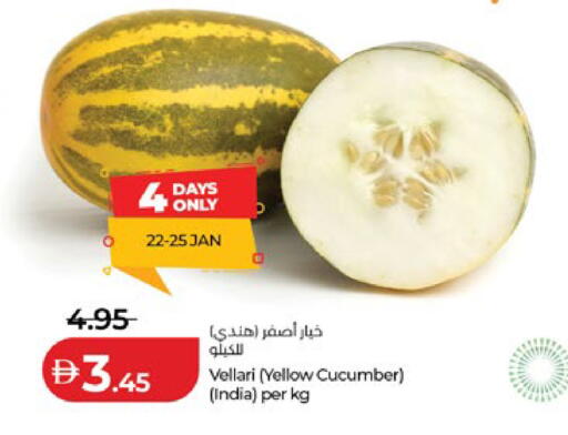 Cucumber from India available at لولو هايبرماركت in الإمارات العربية المتحدة , الامارات - ٱلْعَيْن‎