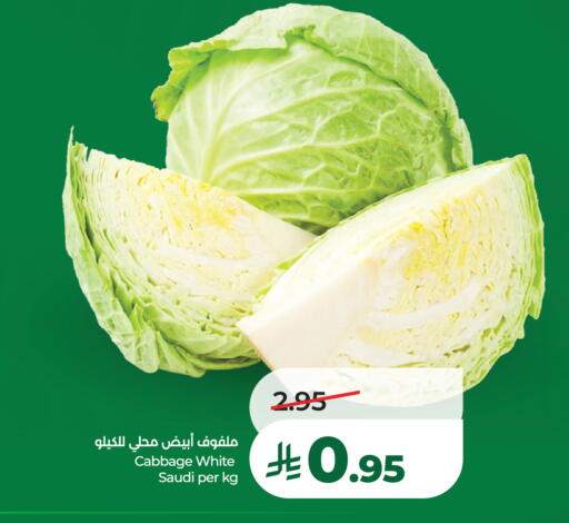 Cabbage from Saudi Arabia available at لولو هايبرماركت in مملكة العربية السعودية, السعودية, سعودية - عنيزة