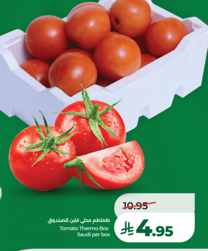 Tomato from Saudi Arabia available at LULU Hypermarket in KSA, Saudi Arabia, Saudi - Hail