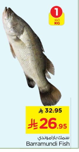 available at Nesto in KSA, Saudi Arabia, Saudi - Riyadh