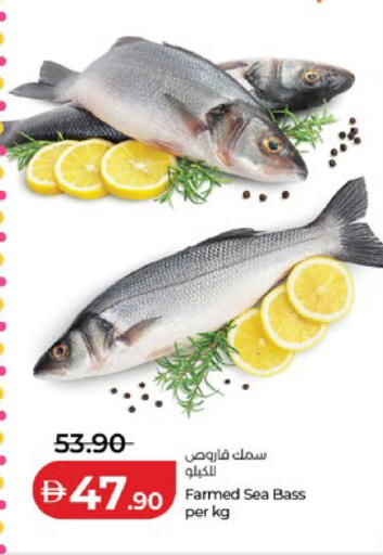 available at لولو هايبرماركت in الإمارات العربية المتحدة , الامارات - ٱلْعَيْن‎