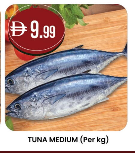 available at Safa Express Supermarket in UAE - Al Ain