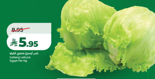 Lettuce from Egypt available at لولو هايبرماركت in مملكة العربية السعودية, السعودية, سعودية - عنيزة