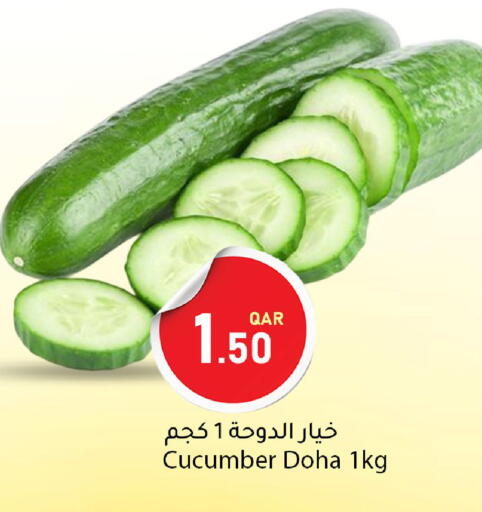 Cucumber from Qatar available at Dana Market in Qatar - Al-Shahaniya