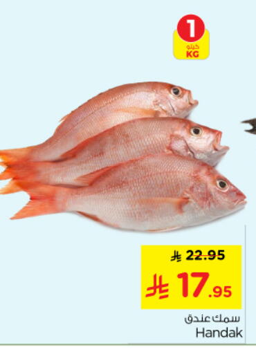 available at Nesto in KSA, Saudi Arabia, Saudi - Al Majmaah