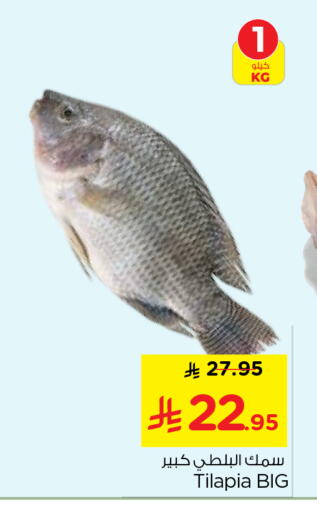 available at نستو in مملكة العربية السعودية, السعودية, سعودية - الرياض