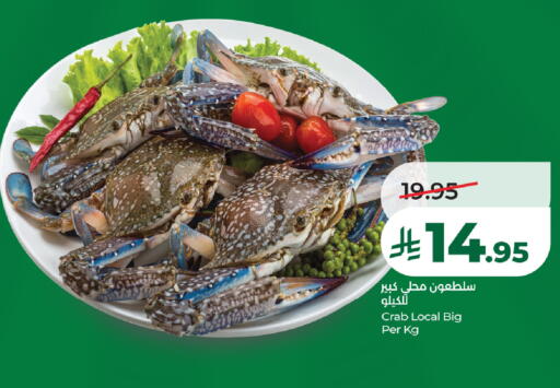 available at لولو هايبرماركت in مملكة العربية السعودية, السعودية, سعودية - الأحساء‎