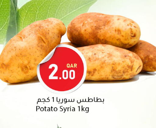 Potato from Syria available at Dana Market in Qatar - Al-Shahaniya