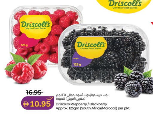 Raspberry Blackberry from South Africa Morocco available at Lulu Hypermarket in UAE - Al Ain