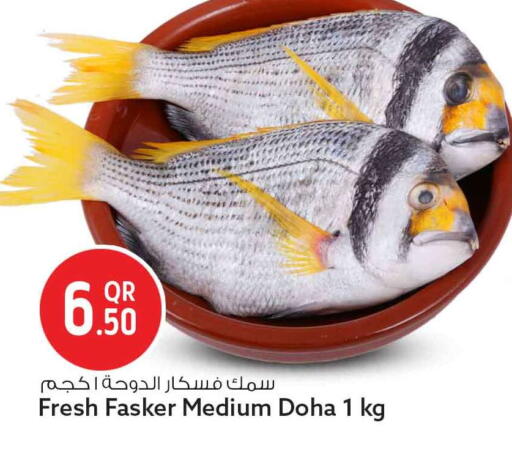 available at سفاري هايبر ماركت in قطر - الشحانية