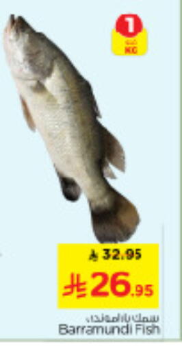 available at نستو in مملكة العربية السعودية, السعودية, سعودية - الخرج