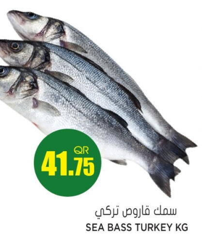 available at جراند هايبرماركت in قطر - الدوحة