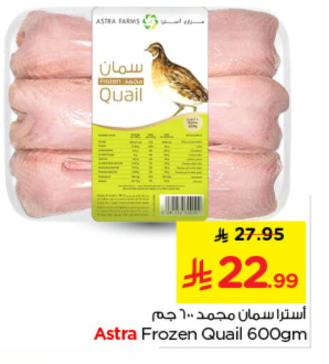 available at نستو in مملكة العربية السعودية, السعودية, سعودية - بريدة