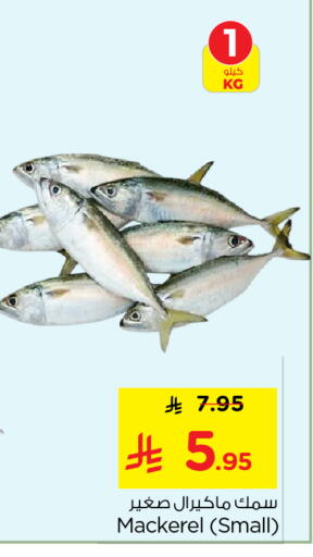 available at نستو in مملكة العربية السعودية, السعودية, سعودية - الرياض