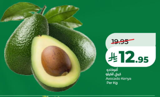 Avocado from Kenya available at LULU Hypermarket in KSA, Saudi Arabia, Saudi - Tabuk