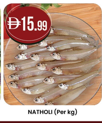 available at Safa Express Supermarket in UAE - Al Ain