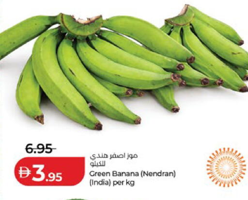 Banana available at لولو هايبرماركت in الإمارات العربية المتحدة , الامارات - ٱلْعَيْن‎