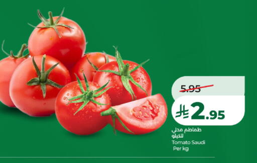 Tomato from Saudi Arabia available at LULU Hypermarket in KSA, Saudi Arabia, Saudi - Jeddah