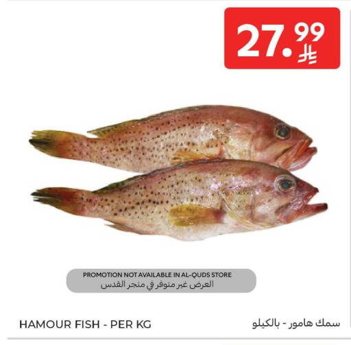 available at كارفور in مملكة العربية السعودية, السعودية, سعودية - جدة