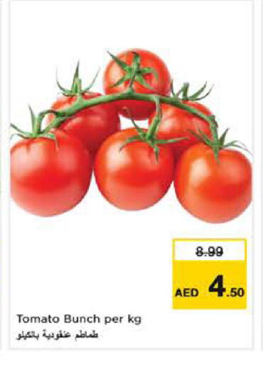 Tomato available at نستو هايبرماركت in الإمارات العربية المتحدة , الامارات - الشارقة / عجمان