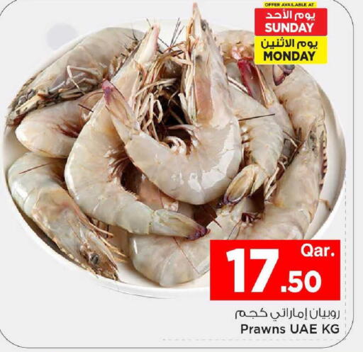 available at مارك & سيف in قطر - الريان