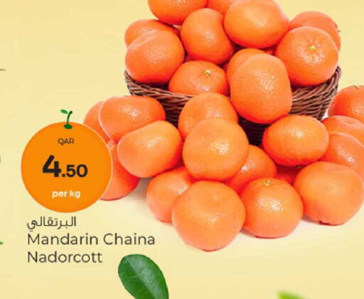 Mandarin available at باريس هايبرماركت in قطر - الريان