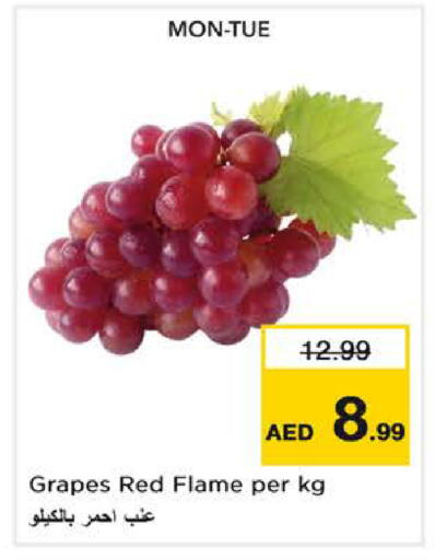 Grapes available at لاست تشانس in الإمارات العربية المتحدة , الامارات - ٱلْفُجَيْرَة‎