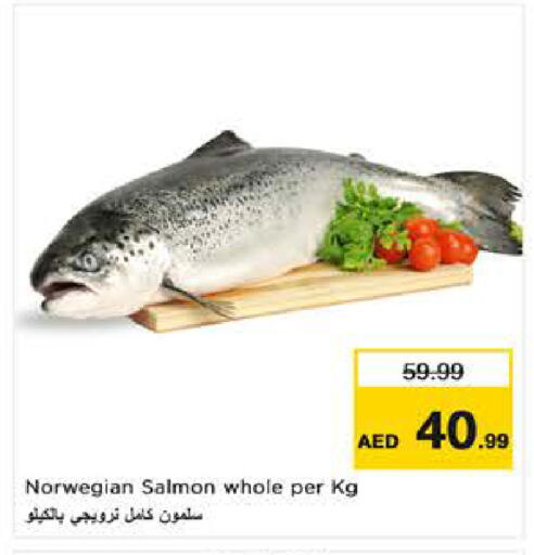 available at نستو هايبرماركت in الإمارات العربية المتحدة , الامارات - ٱلْعَيْن‎