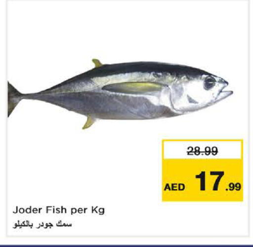 available at Nesto Hypermarket in UAE - Dubai
