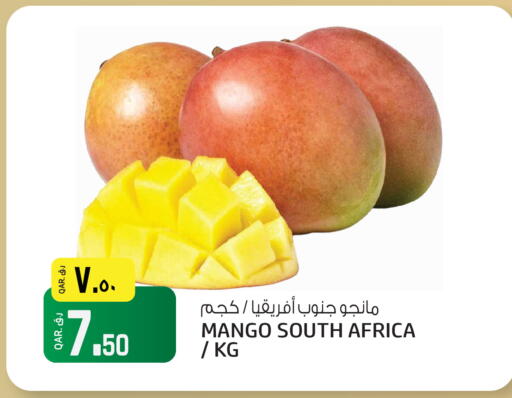 Mango from South Africa available at Saudia Hypermarket in Qatar - Al Khor
