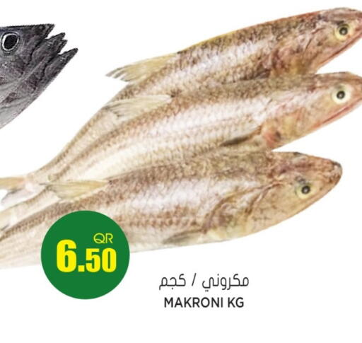 available at Grand Hypermarket in Qatar - Umm Salal