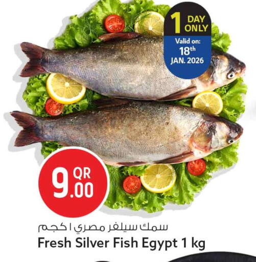 available at Safari Hypermarket in Qatar - Al Rayyan
