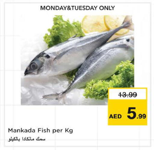 available at نستو هايبرماركت in الإمارات العربية المتحدة , الامارات - الشارقة / عجمان