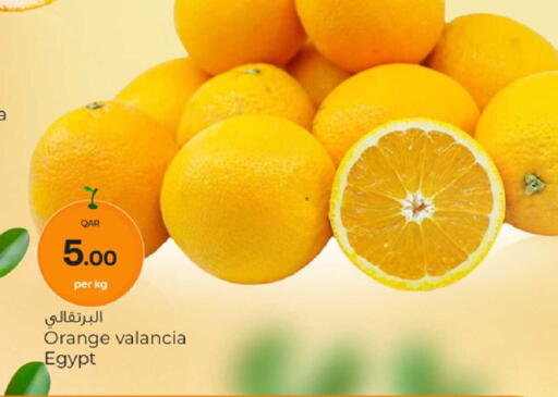 Orange from Valancia Egypt available at باريس هايبرماركت in قطر - الريان