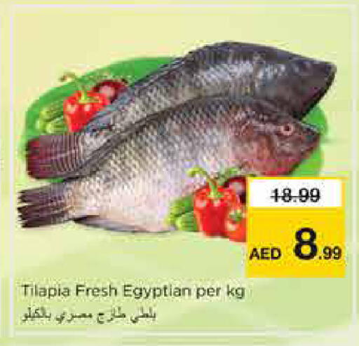 available at نستو هايبرماركت in الإمارات العربية المتحدة , الامارات - الشارقة / عجمان