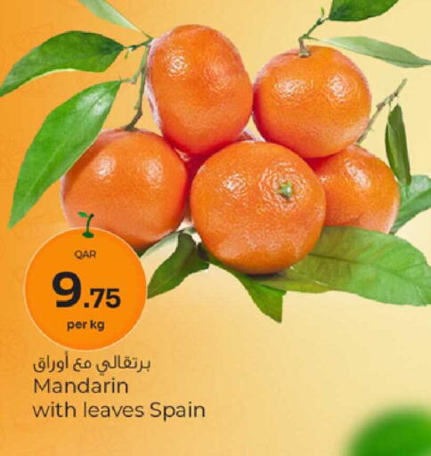 Mandarin from Spain available at باريس هايبرماركت in قطر - الخور