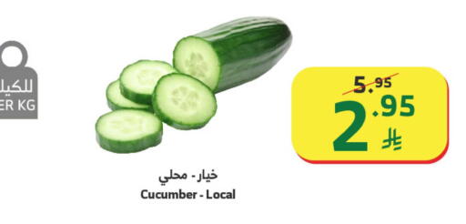 Cucumber available at Al Raya in KSA, Saudi Arabia, Saudi - Abha