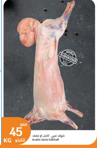 available at City Hypermarket in Qatar - Al Daayen