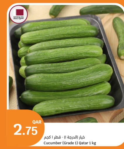 Cucumber from Qatar available at سيتي هايبرماركت in قطر - الضعاين