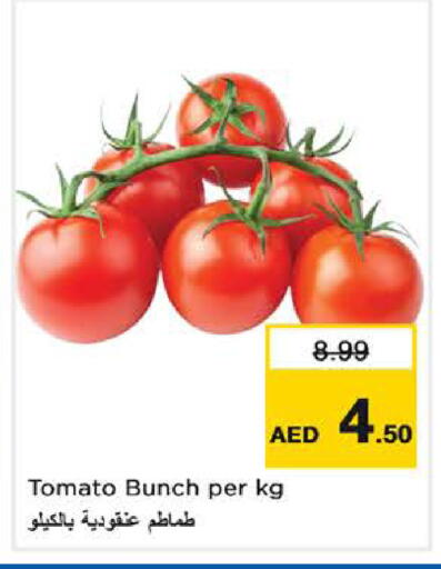 Tomato available at Last Chance  in UAE - Fujairah