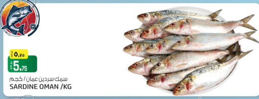 available at السعودية in قطر - أم صلال