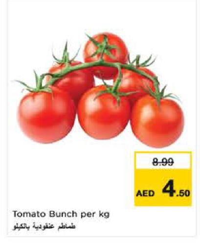 Tomato available at نستو هايبرماركت in الإمارات العربية المتحدة , الامارات - ٱلْعَيْن‎