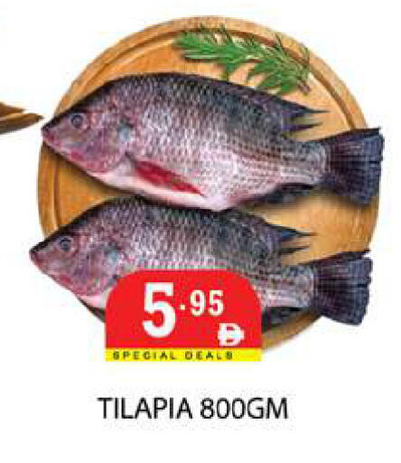 available at زين مارت سوبرماركت in الإمارات العربية المتحدة , الامارات - رَأْس ٱلْخَيْمَة