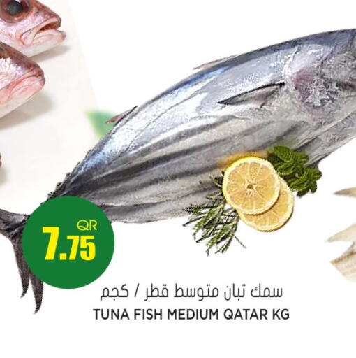 available at جراند هايبرماركت in قطر - الريان