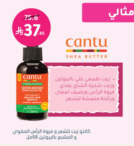 Avocado available at Nahdi in KSA, Saudi Arabia, Saudi - Bishah