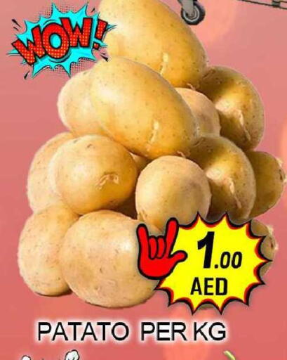 available at جرين جيفت متجر أقسام in الإمارات العربية المتحدة , الامارات - دبي