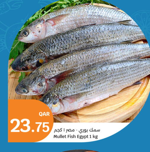 available at City Hypermarket in Qatar - Al Rayyan