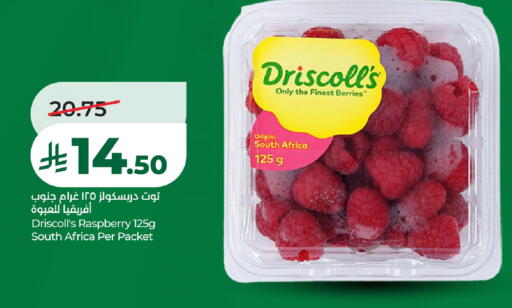 Raspberry from South Africa available at لولو هايبرماركت in مملكة العربية السعودية, السعودية, سعودية - سيهات